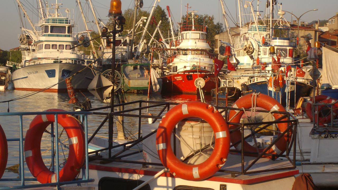 Ereğli Limanı iskelesi için 9 Mart’ta e-ihale yapılacak