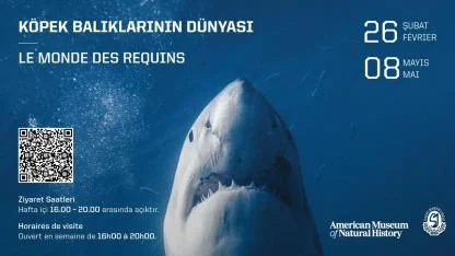 Ünlü “Köpek Balıklarının Dünyası” Sergisi Saint-Joseph Lisesi’nde