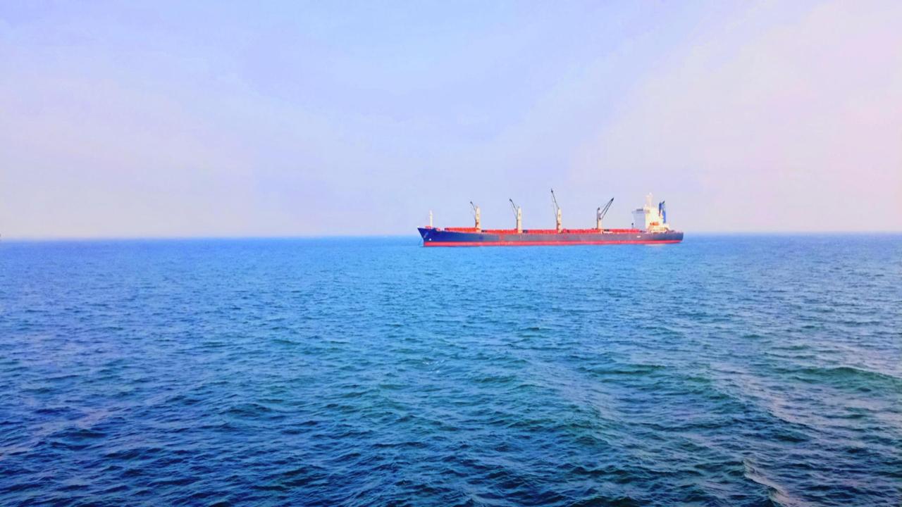 Yaşlı bulk gemilerde satışlar hız kazandı