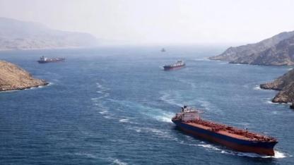 Türk gemileri için güvenlik alarmı!