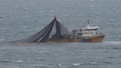 Balıkçılıkta geri sayım başladı, tekneler limana dönüyor