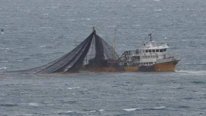 Balıkçılıkta geri sayım başladı, tekneler limana dönüyor