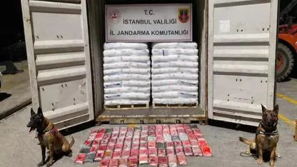 Kocaeli Açıklarında Panama Bandıralı Gemide 106 Kilo Kokain Ele Geçirildi