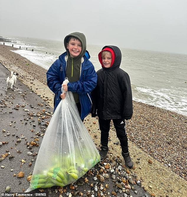 Sahile vuran binlerce muz için halk kıyıya akın etti
