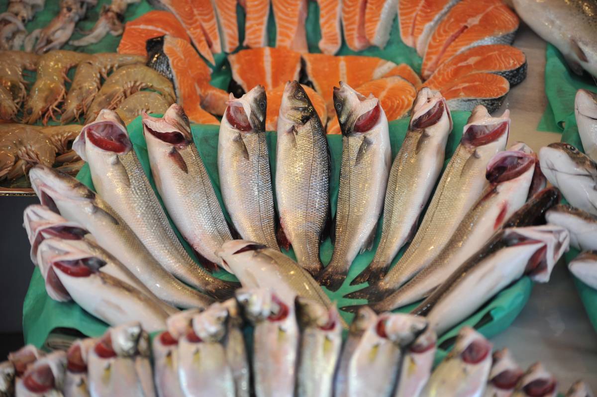 Türkiye ocak ayında 207 milyon dolarlık balık ihraç etti.