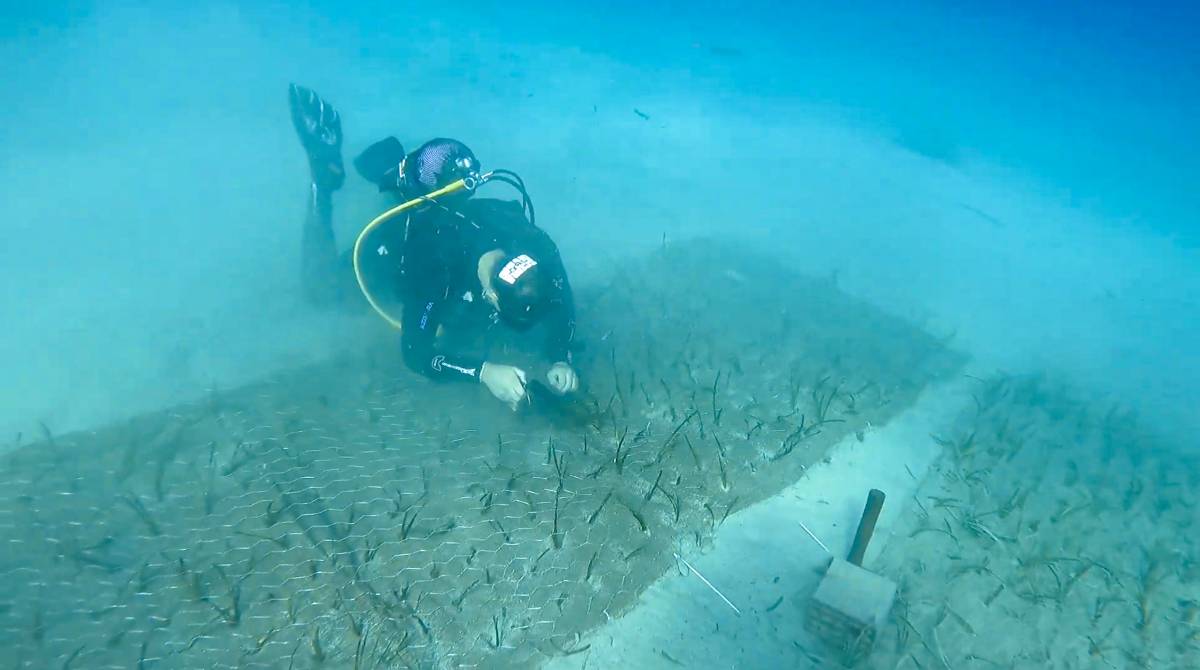 TURMEPA’dan 2025’te Denizlerimizde Dönüştürücü Etki