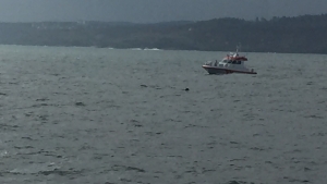 Türkeli demirleme sahasında mayın olduğu düşünülen cisimler sürükleniyor! (Video)